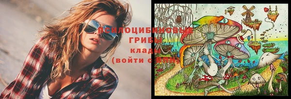 гидра Лихославль