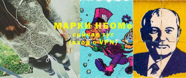 прущие грибы Горнозаводск