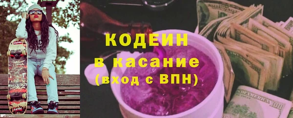 прущие грибы Горнозаводск