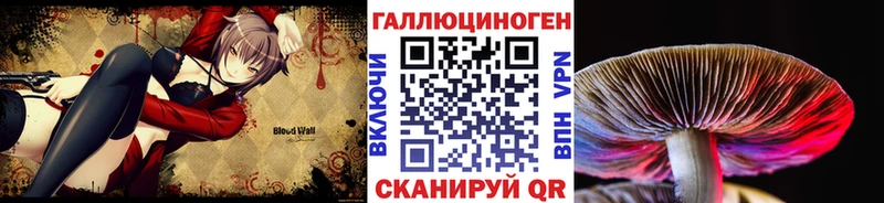 Галлюциногенные грибы GOLDEN TEACHER  Гусиноозёрск 